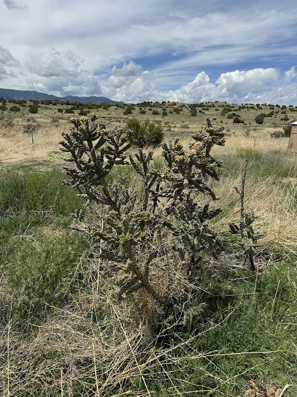 Colorado Burial Preserve & Cremation Garden grounds