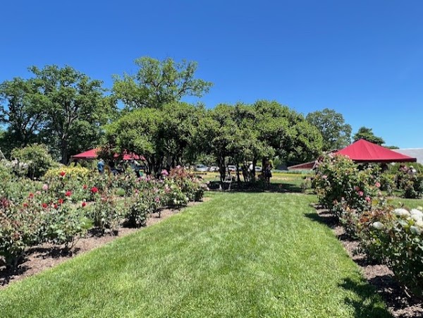 Columbia Gardens Cemetery grounds