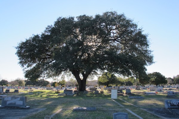 Comal Cemetery grounds