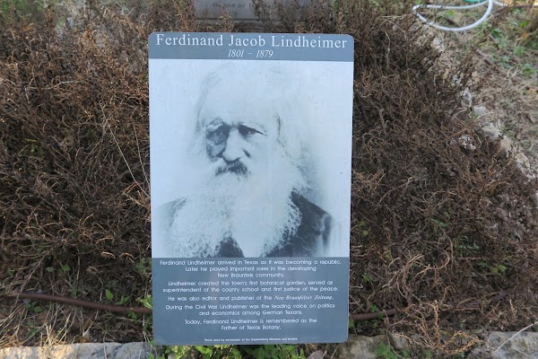 Comal Cemetery grounds