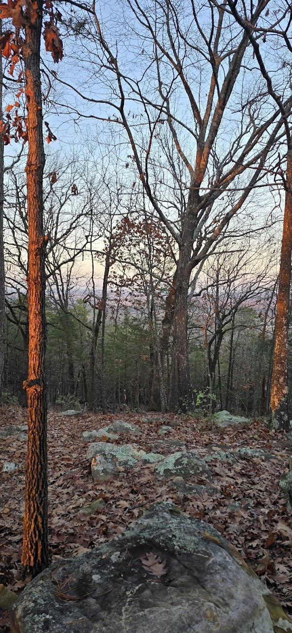 Confederate Mother's Memorial Park grounds