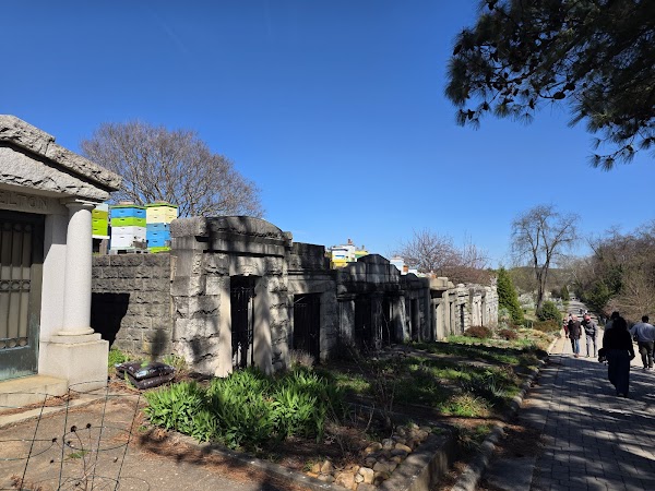 Congressional Cemetery grounds