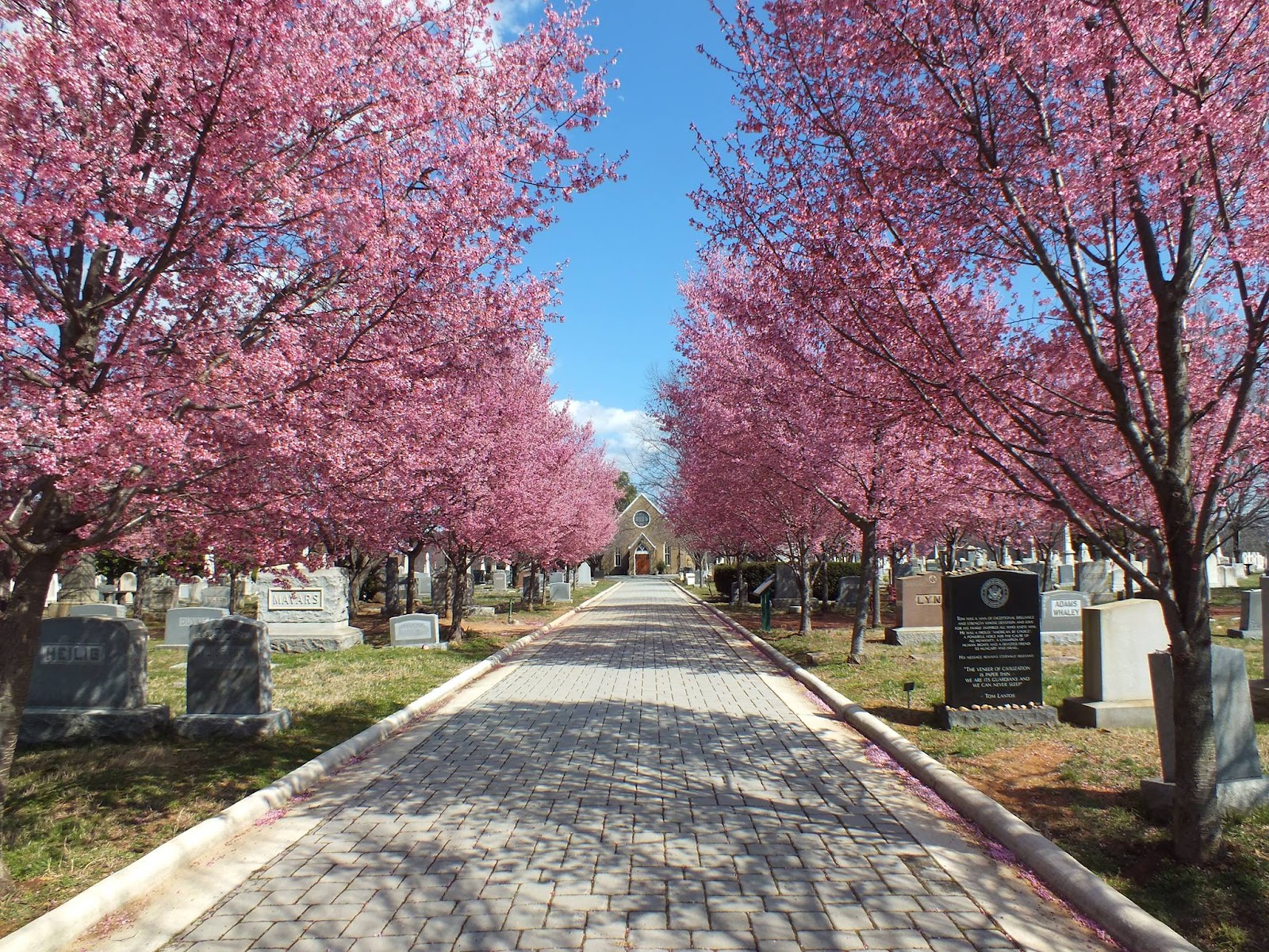 Congressional Cemetery cemetery grounds and headstones