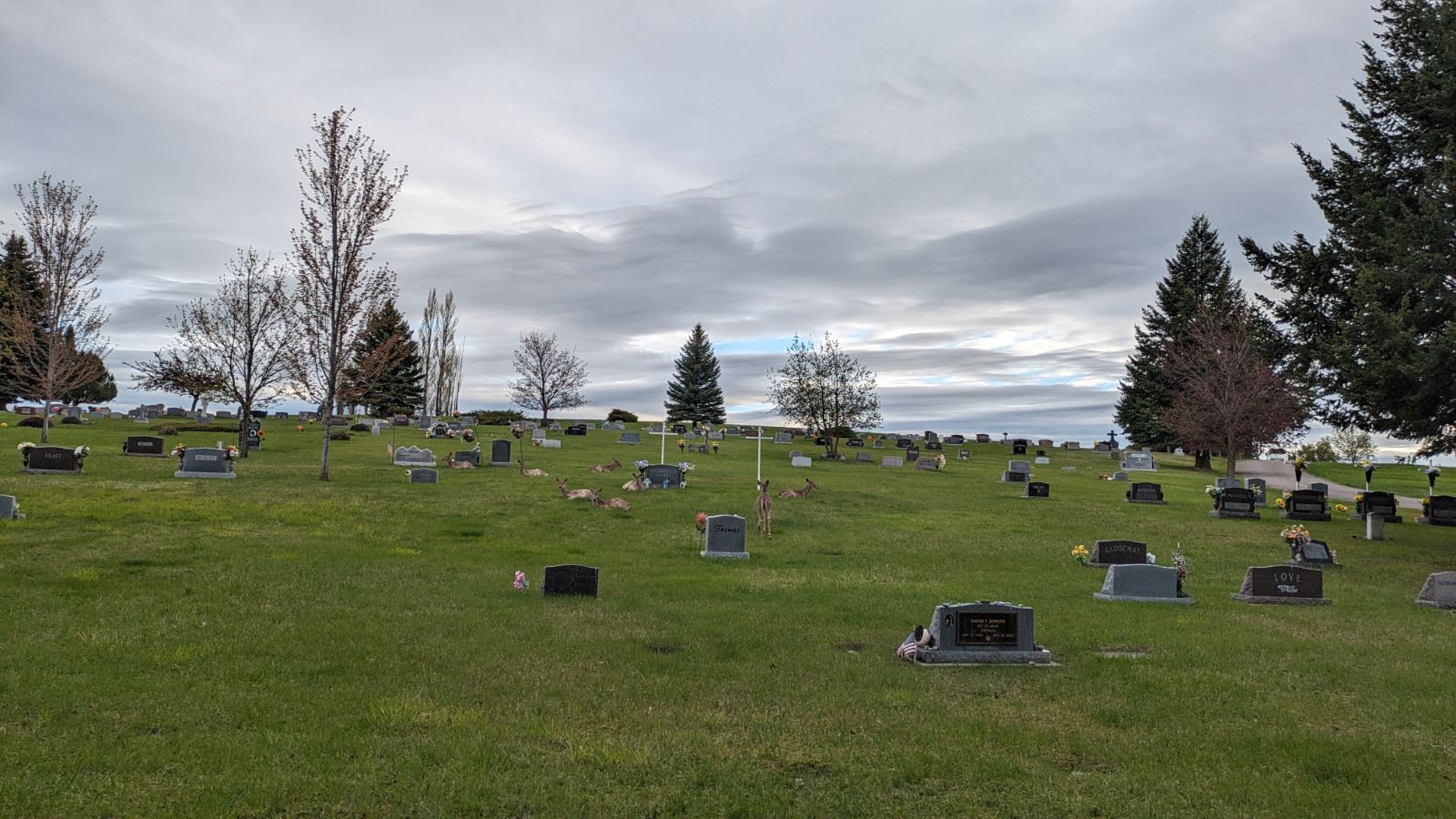 Conrad Cemetery cemetery grounds and headstones