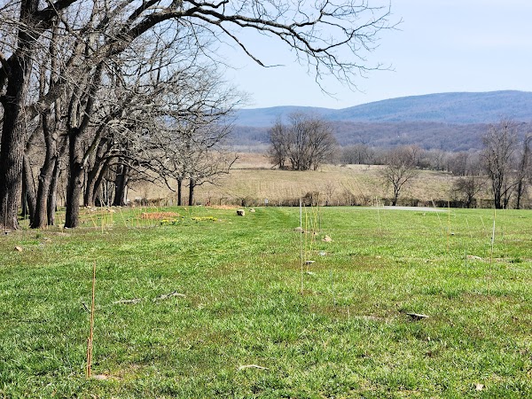 Cool Spring Natural Cemetery grounds