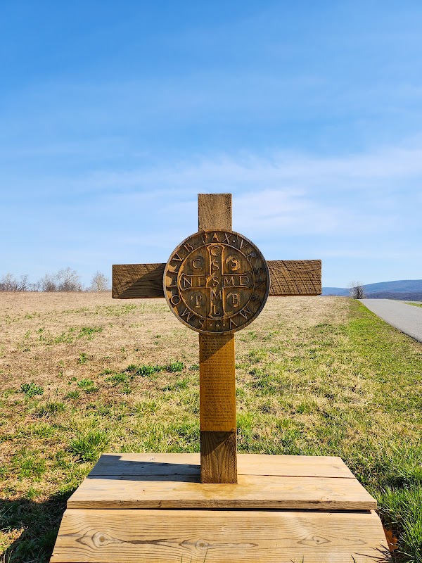 Cool Spring Natural Cemetery grounds
