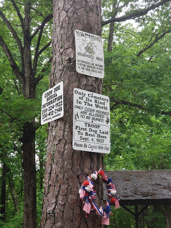 Coon Dog Cemetery grounds