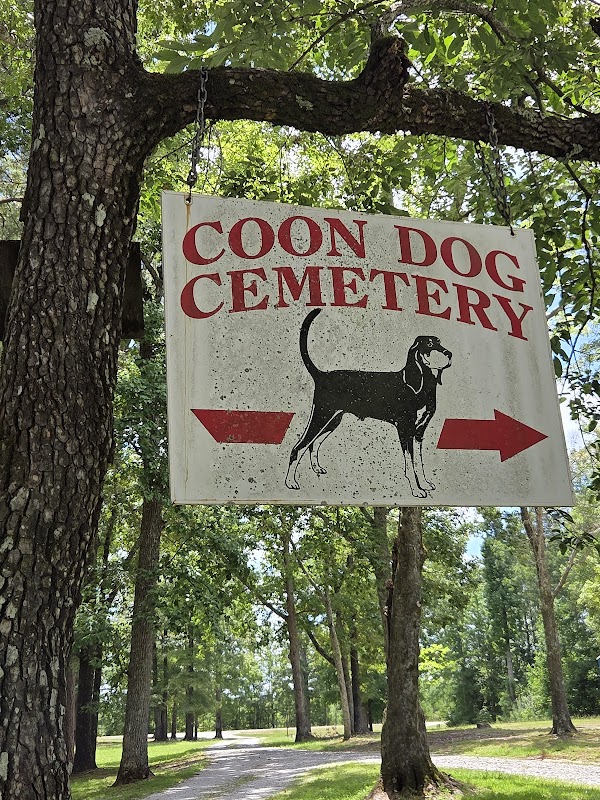 Coon Dog Cemetery grounds