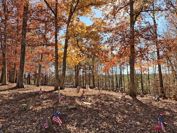 Coon Dog Cemetery grounds