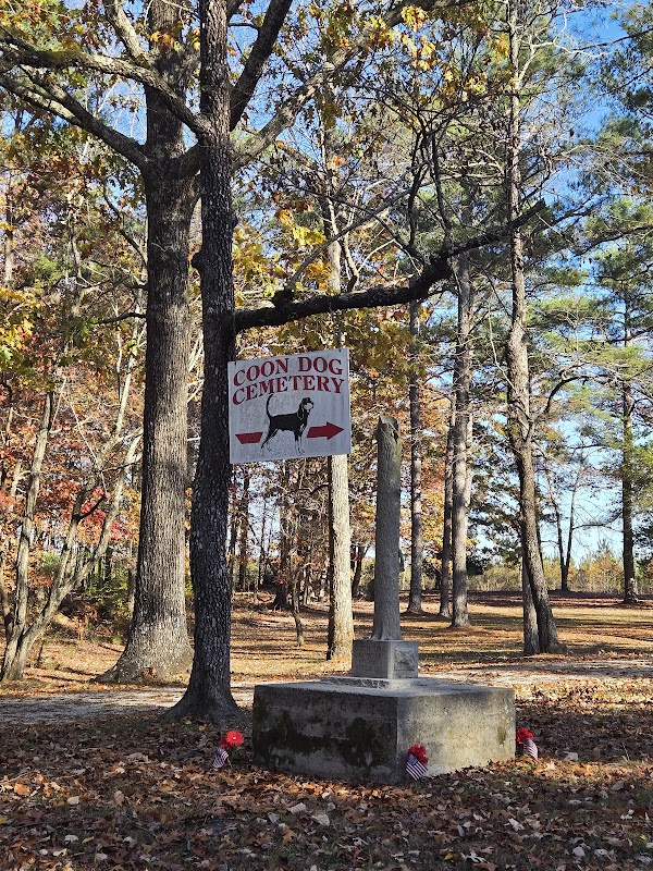 Coon Dog Cemetery grounds