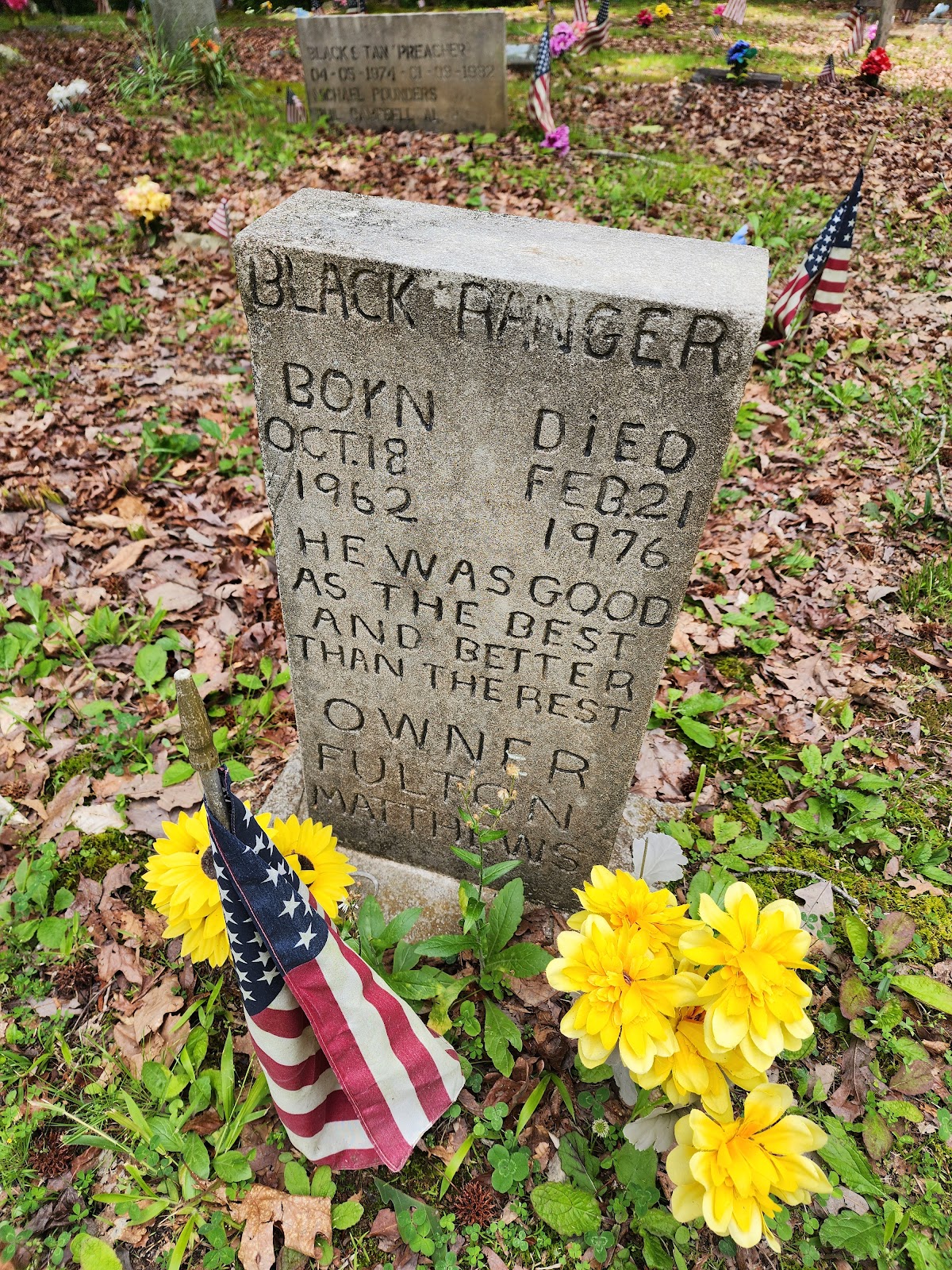 Coon Dog Cemetery cemetery grounds and headstones