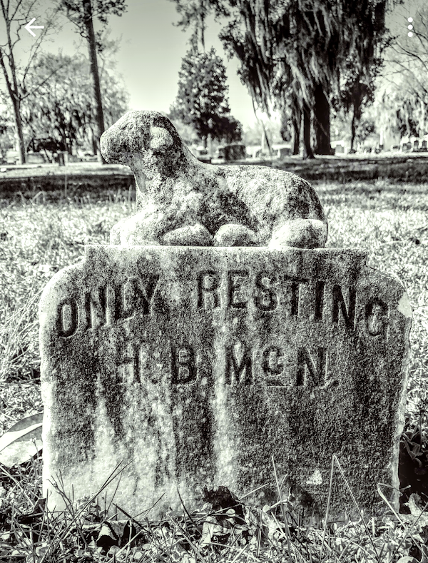Cross Creek Cemetery grounds
