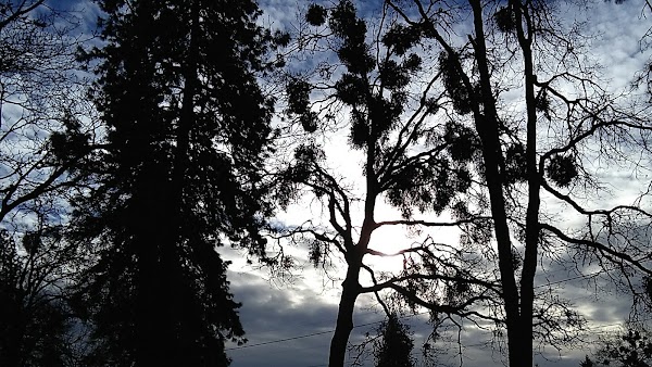 Croxton Memorial Park grounds