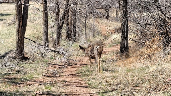 Crystal Valley Cemetery grounds