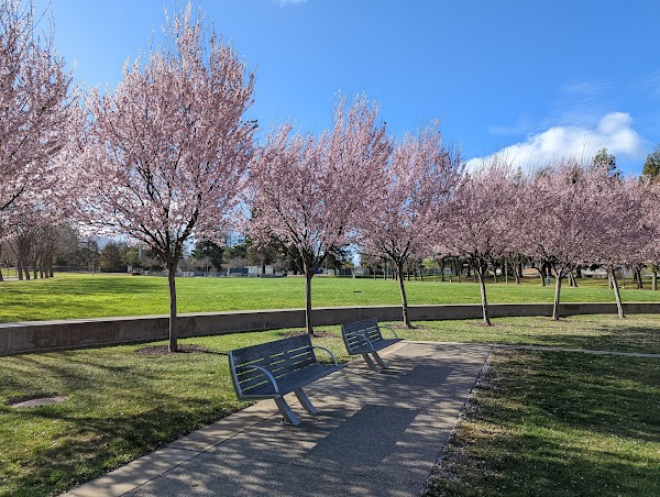 Cupertino Memorial Park grounds
