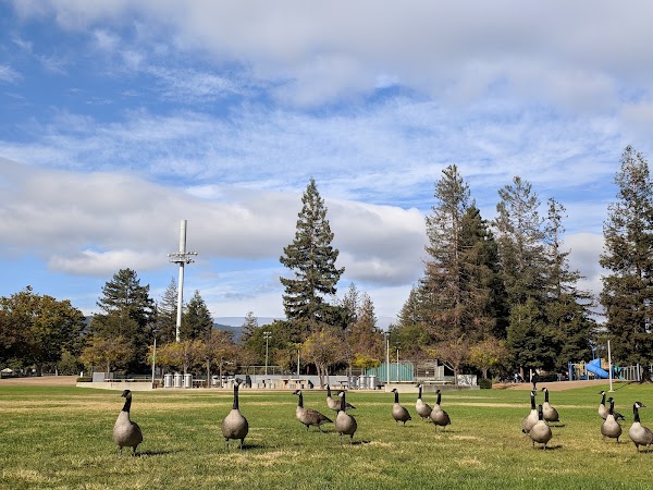 Cupertino Memorial Park grounds
