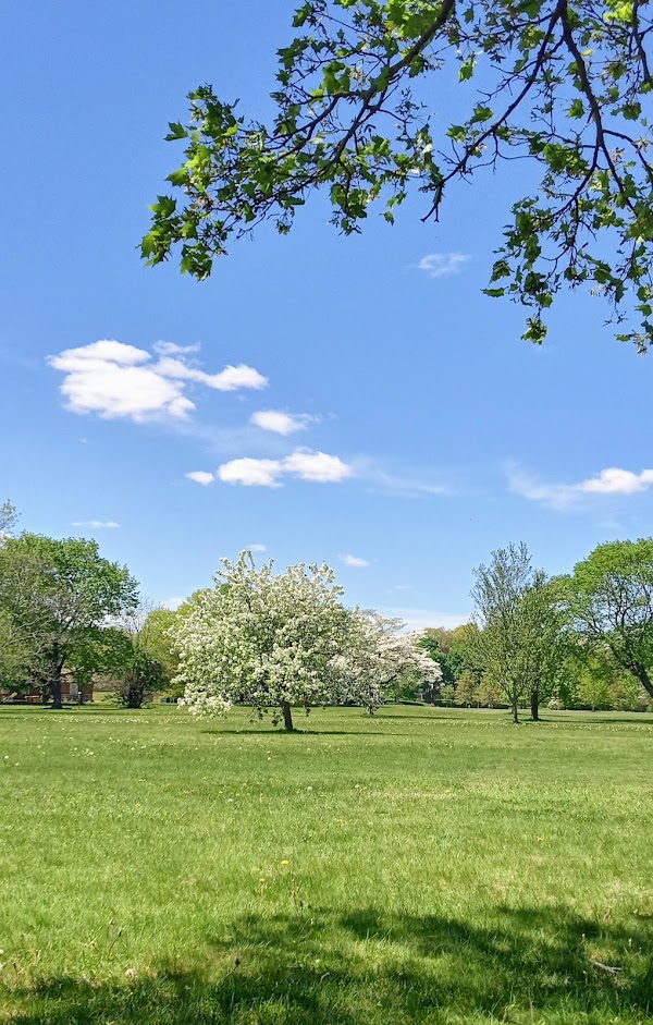 Cushing memorial park children’s grove grounds