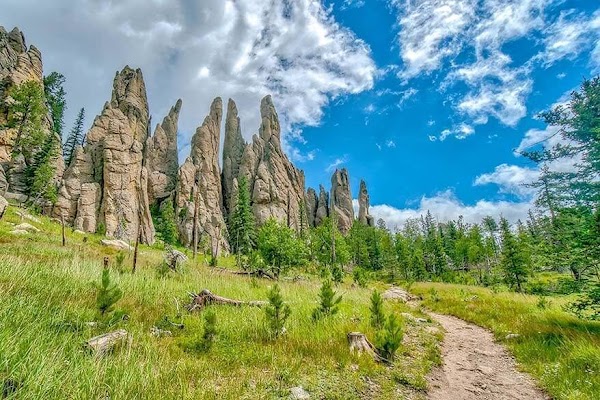 Custer State Park grounds