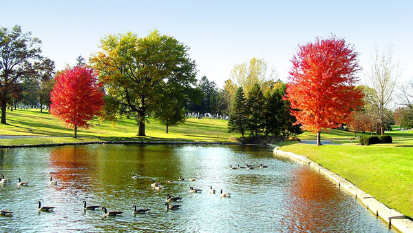 Davenport Memorial Park grounds