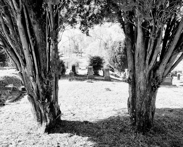 Decatur Cemetery grounds