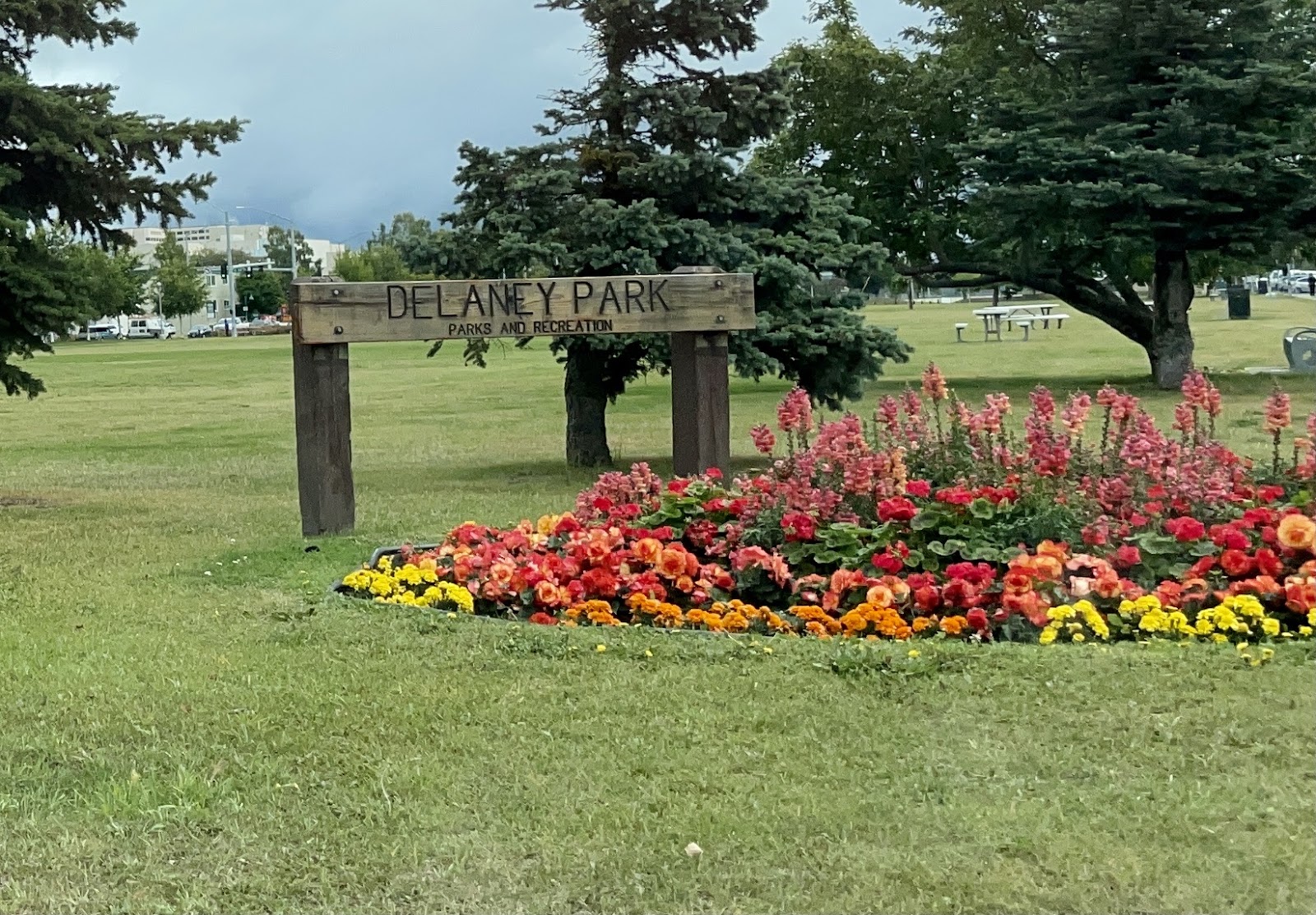 Delaney Park cemetery grounds and headstones