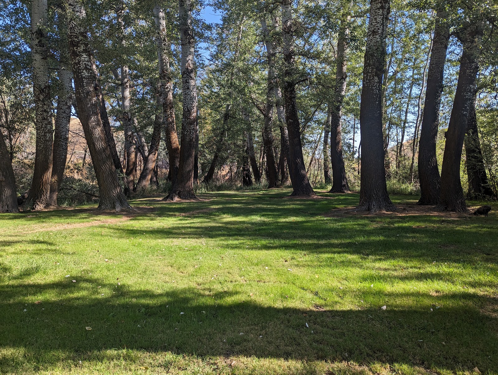 DeMoss Springs Memorial Park cemetery grounds and headstones