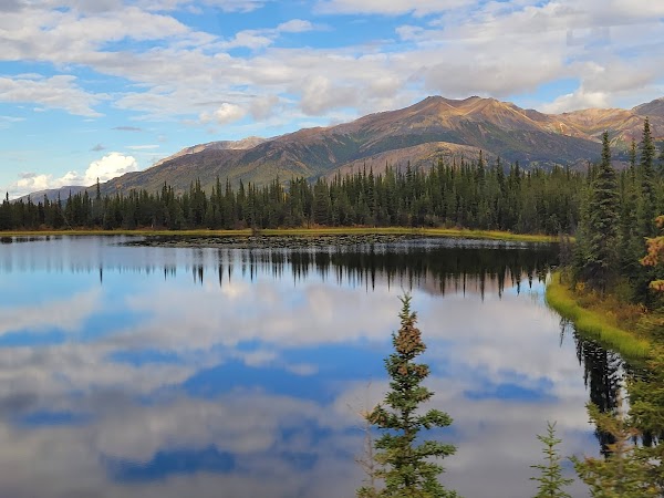 Denali National Park and Preserve grounds