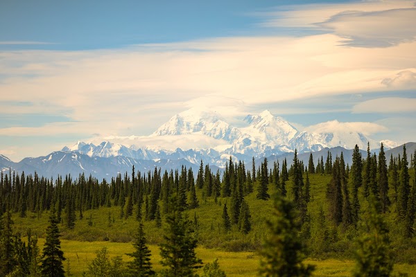 Denali National Park and Preserve grounds