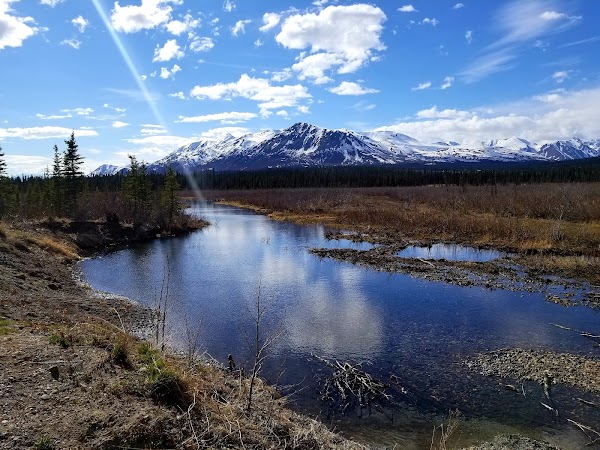Denali National Park and Preserve grounds