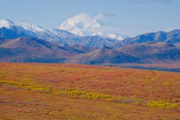 Denali National Park and Preserve grounds