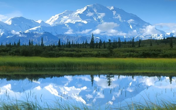 Denali National Park and Preserve grounds