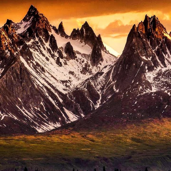 Denali State Park grounds