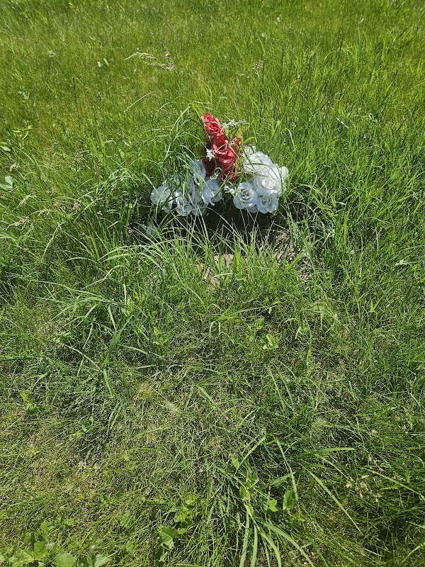 Detroit Memorial Park (West) grounds