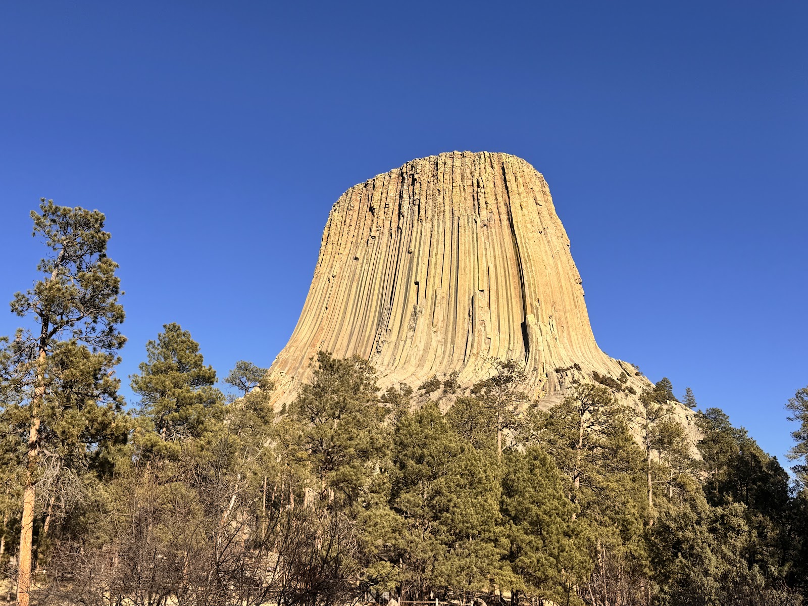 Devils Tower National Monument cemetery grounds and headstones