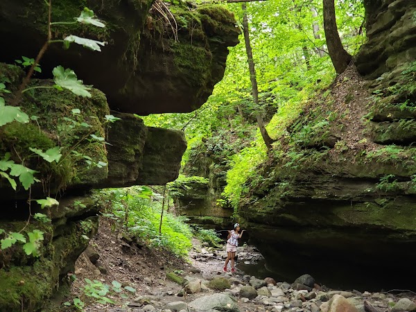 Dolliver Memorial State Park grounds