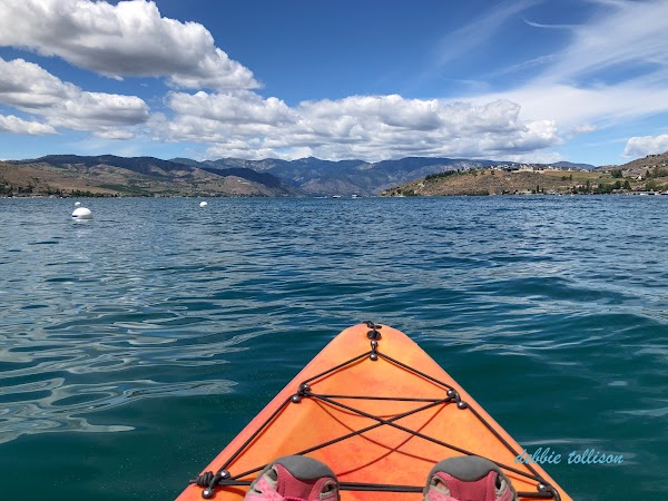 Don Morse Memorial Park grounds