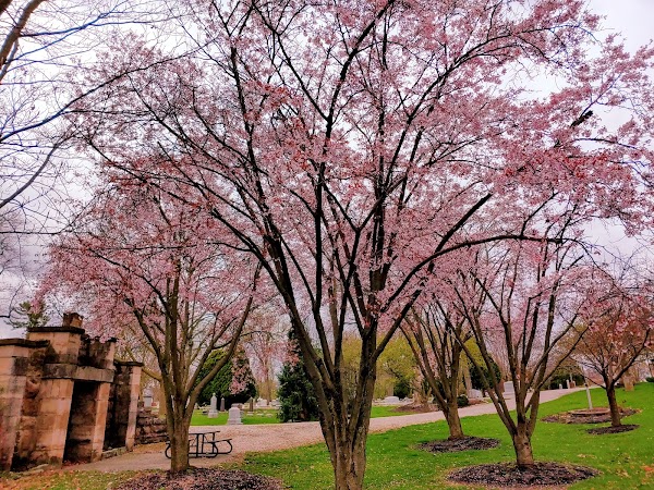 Dublin Cemetery grounds