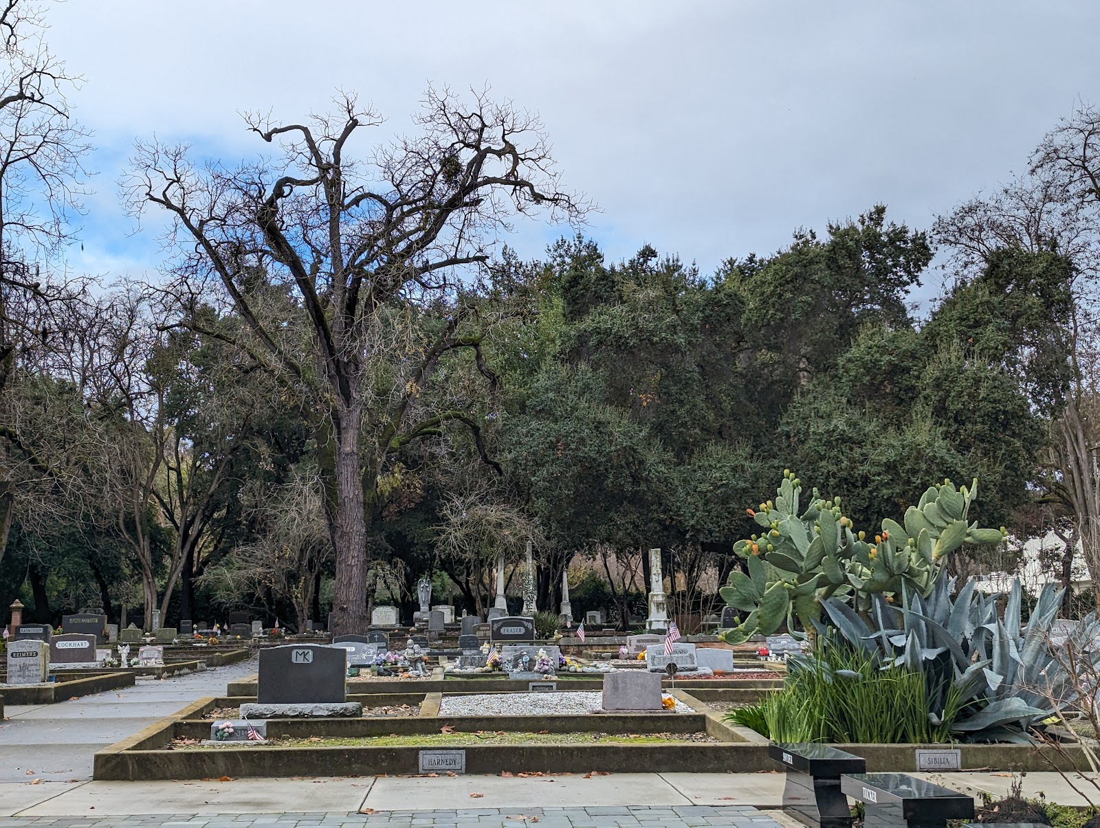 Dublin Pioneer Cemetery cemetery grounds and headstones