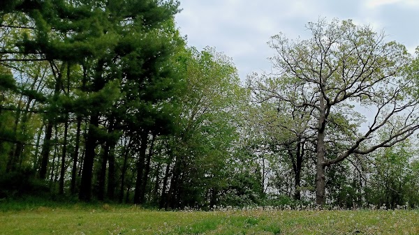 Dunklin-Fletcher Memorial Park grounds