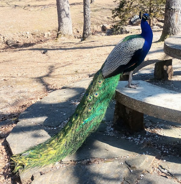 Dunnegan Memorial Park grounds