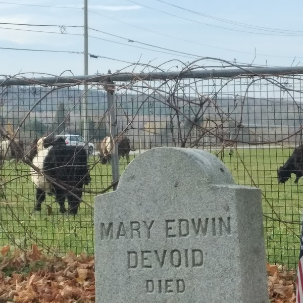 East Cemetery grounds