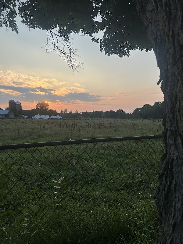 East Cemetery grounds
