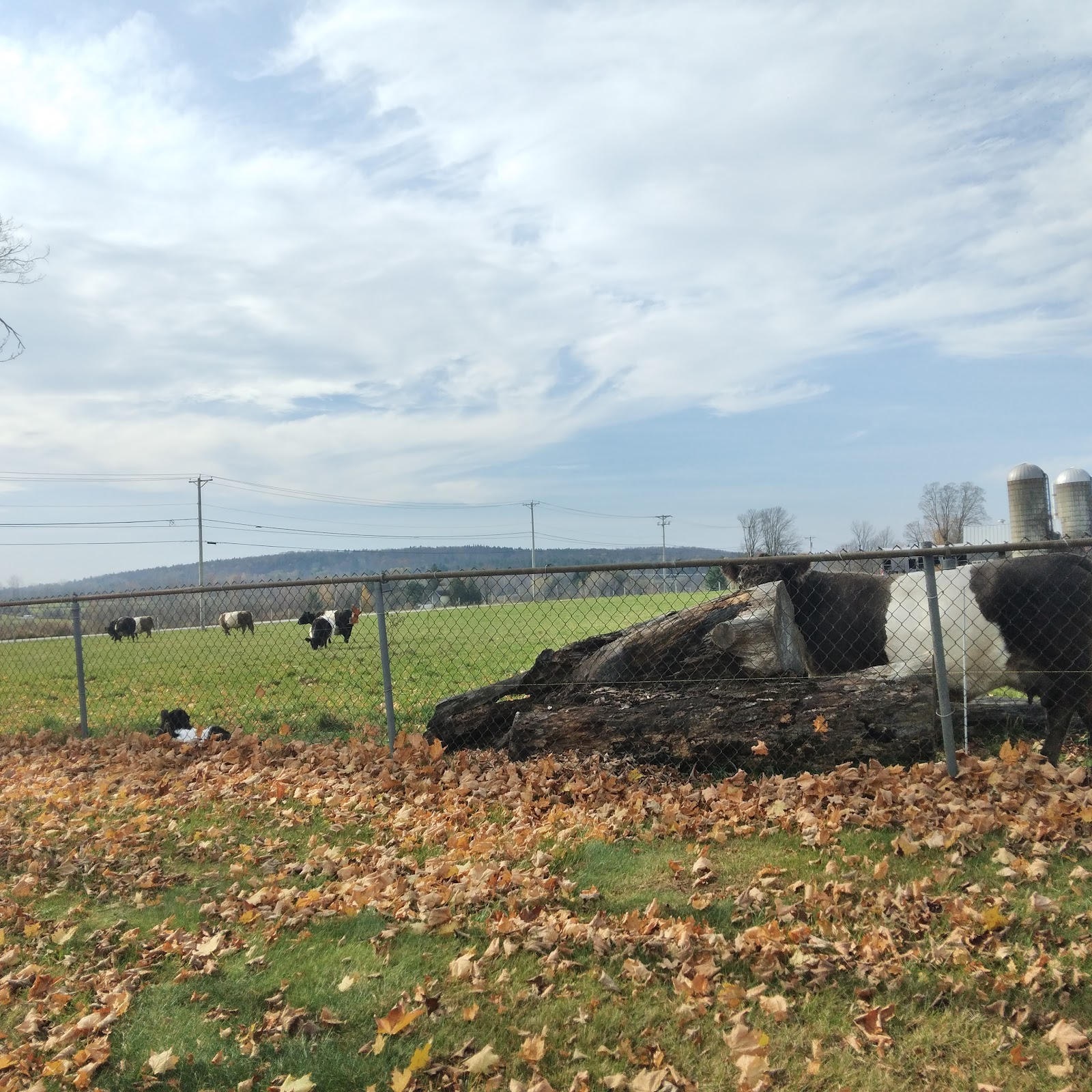 East Cemetery cemetery grounds and headstones