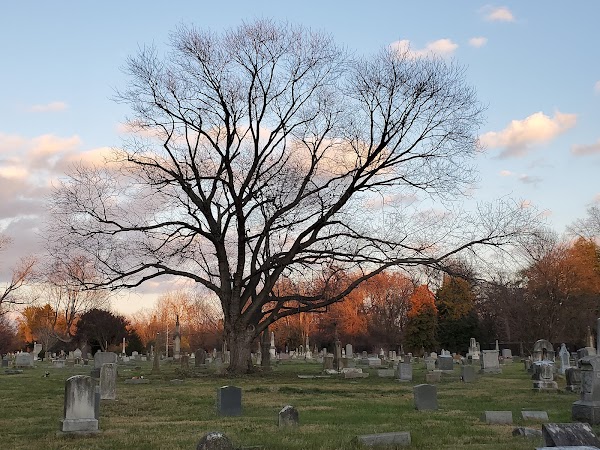 Eastern Cemetery grounds