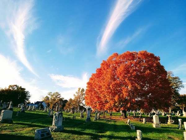 Edge Hill Cemetery grounds