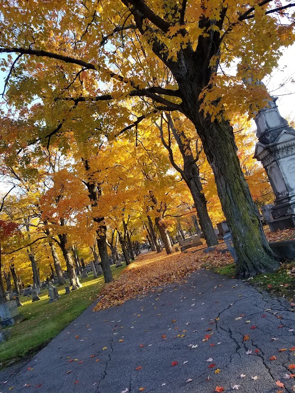 Edgewood Cemetery grounds