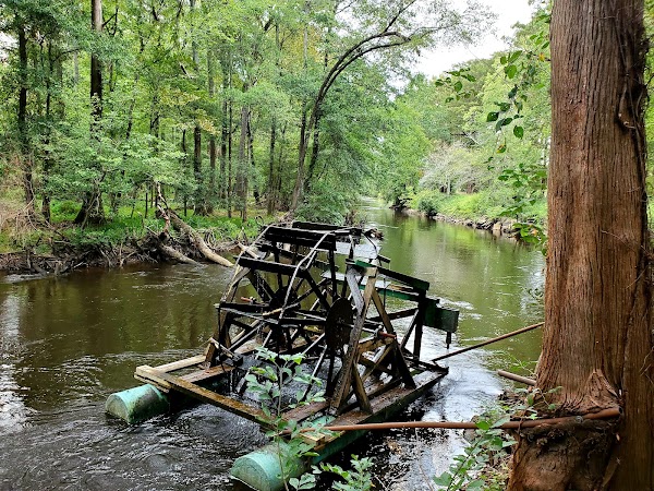 Edisto Memorial Gardens grounds