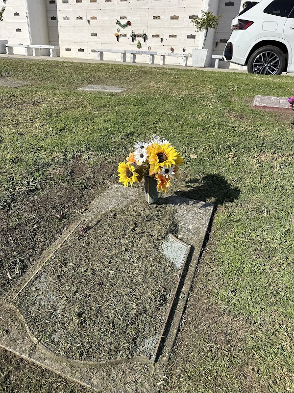 El Camino Memorial - Sorrento Valley & Memorial Park grounds