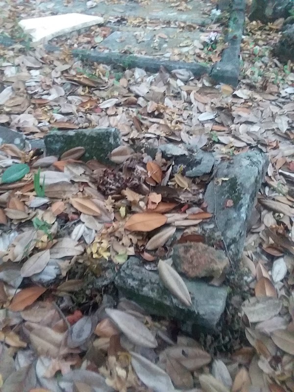 Eli Stroud Cemetery grounds