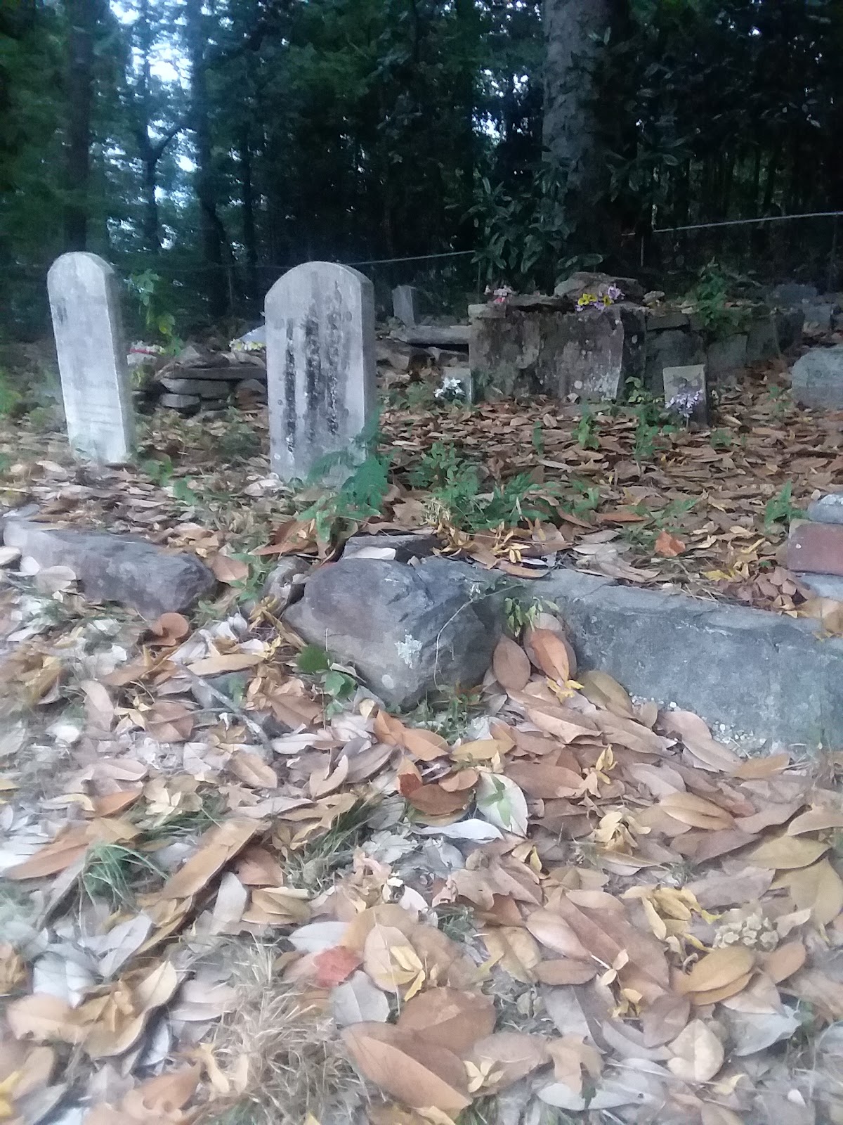 Eli Stroud Cemetery cemetery grounds and headstones